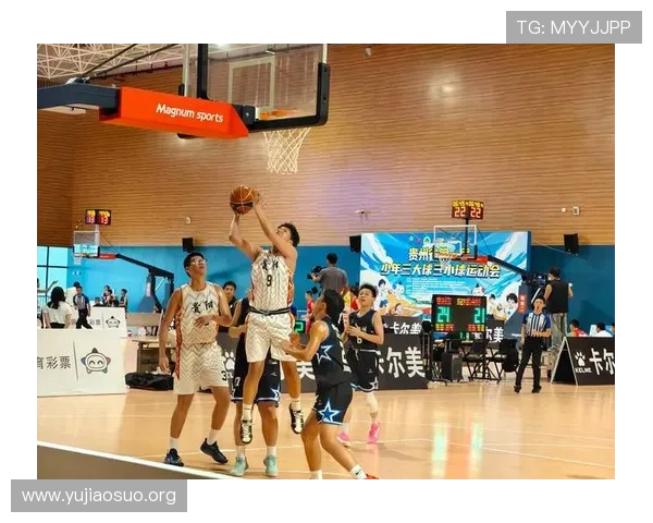 球友会app在提升篮球运动普及中的作用以及用户如何充分利用平台资源